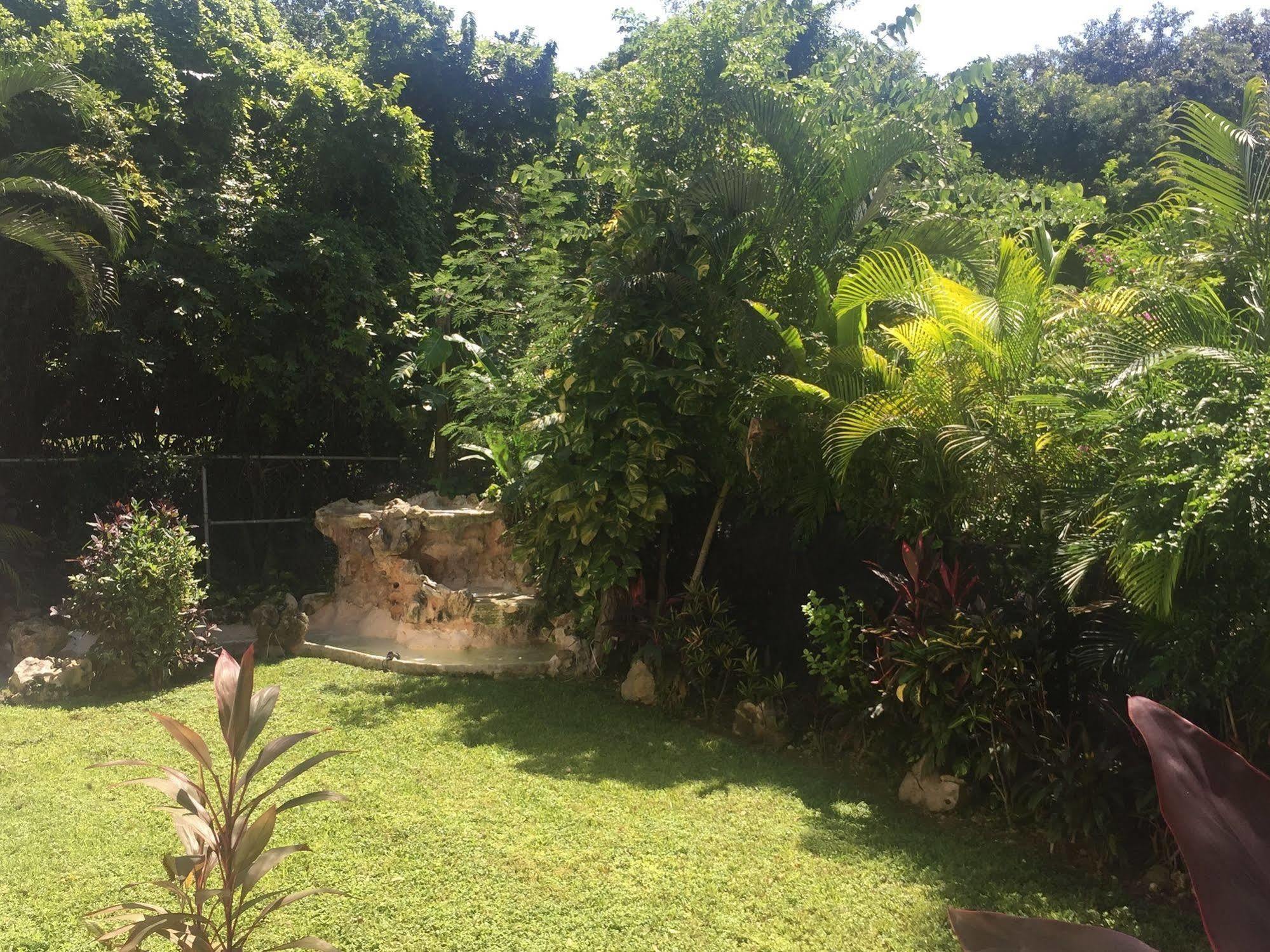 Bed and breakfast Oasis Boutique 3*